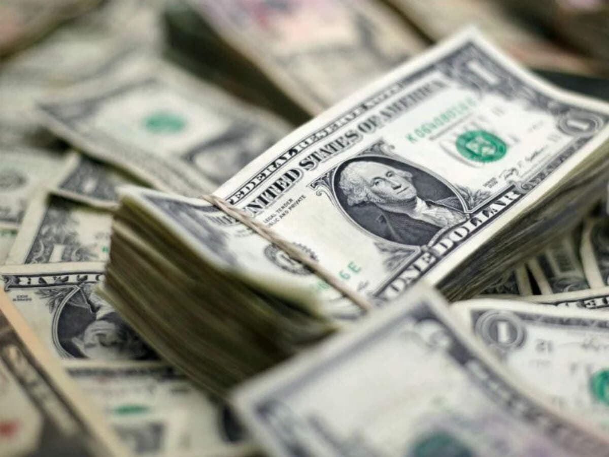 One Planet Partners launches maiden PE fund, targets Rs 3,000 crore