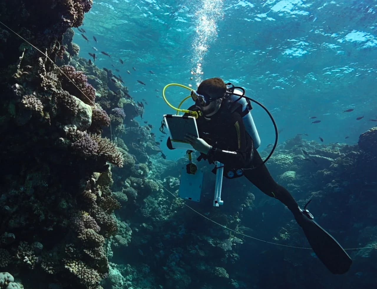 How Red Sea Global plans to prove a 30% net conservation gain by 2040