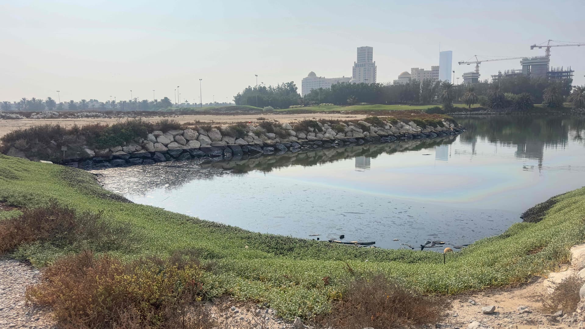 UAE brings oil tanker leak under control, coastal cleanup continues