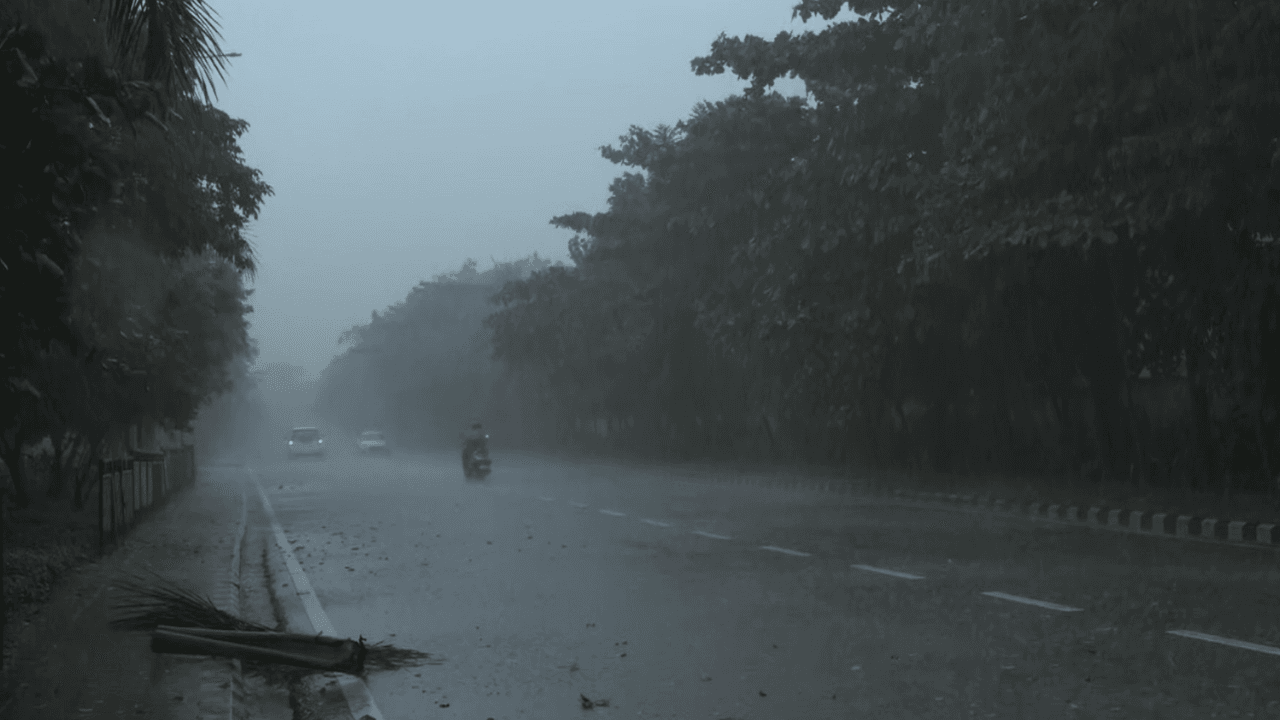 Fresh low-pressure system forms after Cyclone Arnab; Odisha impact unlikely: Meteorologists