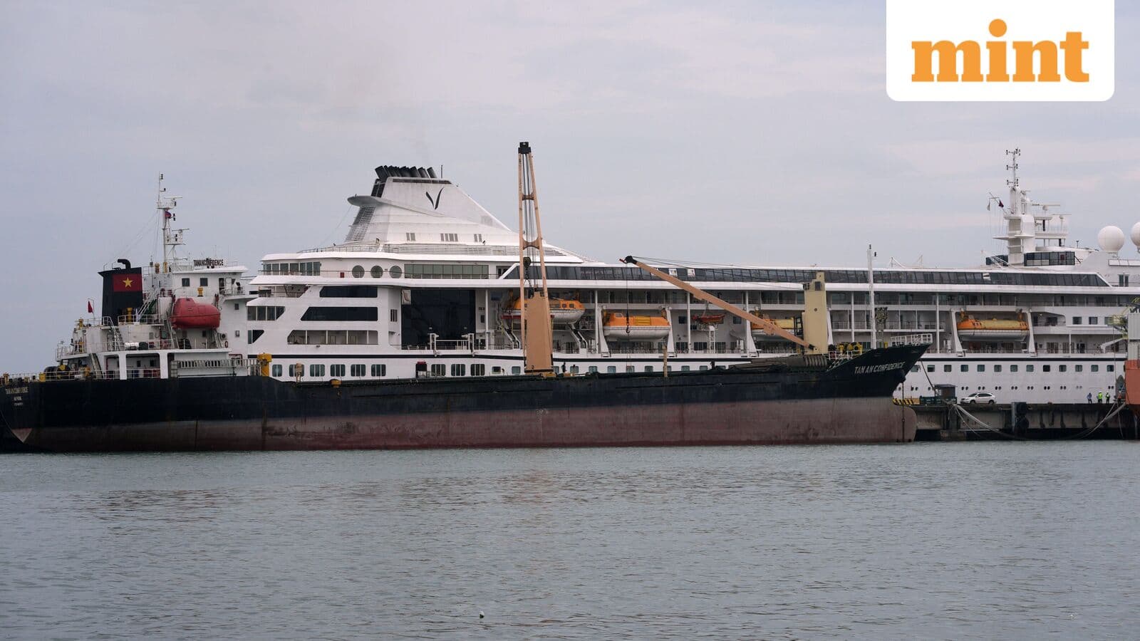 'Must make immediate, creative decisions': What CEO of 'never-ending' cruise that stranded 200 people said in his letter