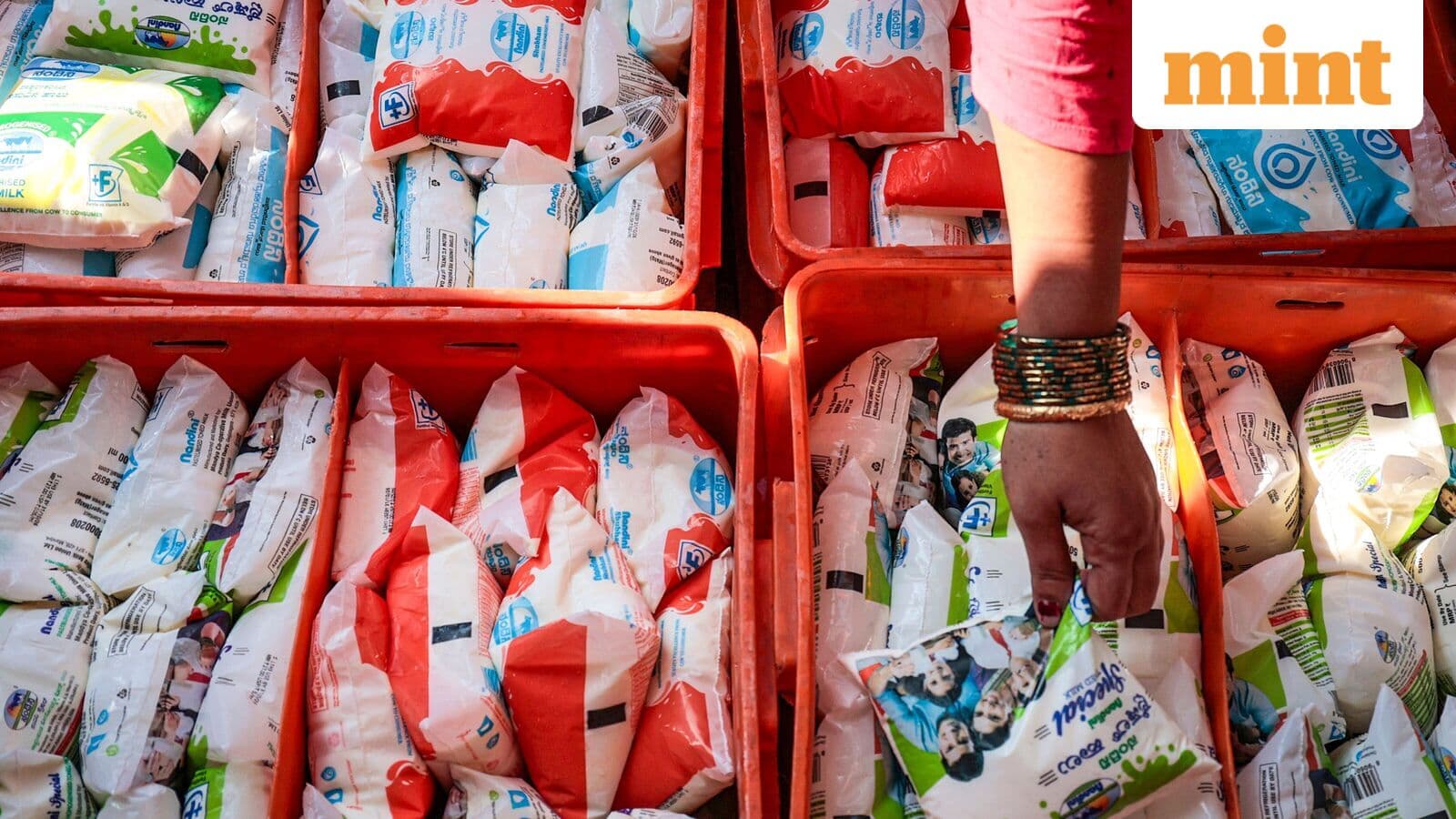 Nandini milk price hike: Why Karnataka raised rates by ₹8 per litre from November 1, how rates compare with other states